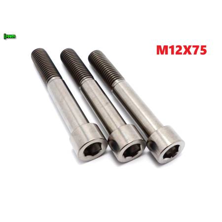 M12x75 tytanowa śruba imbusowa din 912 iso 4762 śruby tytanowe m12 grade 5